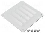 Guard | steel | Cutout: 95x104mm | IP23 | Mounting: screw | RAL 7035