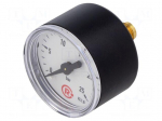 Manometer | 0&divide;25bar | rear connection | Thread: G 1/8" | 40mm | plastic