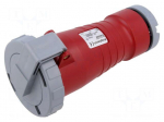 Connector: AC supply 3-phase | plug | female | 16A | 415VAC | IP&S | IP67