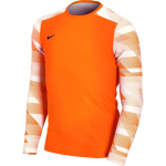 Nike Dry Park IV JSY LS GK JUNIOR Goalkeeper Sweatshirt orange CJ6072 819 L