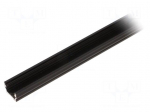 Profiles for LED modules | surface | black | L: 2m | aluminium