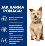 Hill's PD K/D Kidney Care Original - dry dog food - 4kg