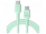 Cable | USB 2.0 | USB C plug,both sides | 2m | green | PVC | 480Mbps