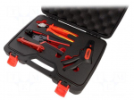 Tools set: specialist tools | case | 5pcs.