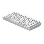 Computer keyboard dark project  ALU81A Terra Nova White, G3MS Moonstone Switch , US