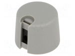 Knob | with pointer | plastic | &Oslash;shaft: 6mm | &Oslash;20x16mm | grey