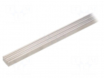 Heatsink: extruded | grilled | natural | L: 1000mm | W: 10mm | H: 6mm