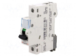 Circuit breaker | 230VAC | Inom: 25A | Poles: 1 | DIN | Charact: C | 6kA