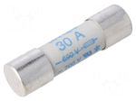 Fuse: fuse | gR | 30A | 660VAC | ceramic,cylindrical,industrial | URZ
