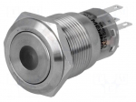 Switch: vandal resistant | Pos: 2 | SPDT | 0.5A/220VAC | 1A/24VDC | IP67