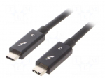 Cable | USB 3.1 | USB C plug,both sides | nickel plated | 0.5m | black