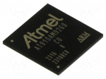 IC: ARM microprocessor | ARM926 | 1.65&divide;1.95VDC | SMD | LFBGA217 | PWM: 6