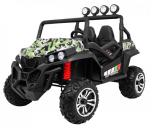 RoGer Grand Buggy 4x4 Electric Car