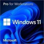Microsoft SB Windows 11 Pro for Workst 64Bit UK - DVD