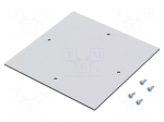 Mounting plate | plastic | RITTAL-9517000,RITTAL-9517100