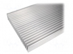 Heatsink: extruded | grilled | L: 1000mm | W: 262mm | H: 60mm | aluminium