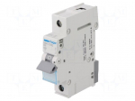 Circuit breaker | 230VAC | Inom: 6A | Poles: 1 | DIN | Charact: B | 6kA