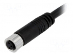 Connector: M8 | 5m | female | PIN: 3 | straight | plug | 3A | IP67 | 60V