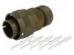 Connector: circular | VG95234 | plug | male | PIN: 5 | with contacts