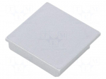 Cap for LED profiles | silver | 2pcs | ABS | VARIO30-08