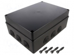 Enclosure: junction box | X: 220mm | Y: 300mm | Z: 120mm | IP65 | black