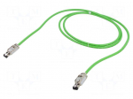 Patch cord | S/FTP | Cat: 5e | RJ45 plug,both sides | 3m | PVC | green