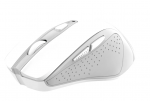 Trust Nito Optical Wireless mouse
