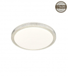 Ceiling Lamp LED 50CM 45W DIM
