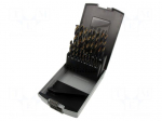 Drill bit | for metal | high speed steel grounded HSS-G | 19pcs.