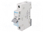 Circuit breaker | 230VAC | Inom: 10A | Poles: 1 | DIN | Charact: B | 6kA