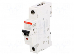 Circuit breaker | 230VAC | Inom: 10A | Poles: 1 | DIN | Charact: C | 10kA