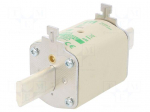 Fuse: fuse | aM | 100A | 690VAC | ceramic,industrial | NH1 | WT-NH
