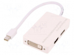 Adapter | DisplayPort 1.1a | Colour: white