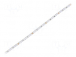 LED tape | white cold | 3014 | 24V | LED/m: 120 | 6mm | IP20 | 7.6W/m