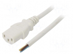 Cable | 3x1mm2 | IEC C13 female,wires | PVC | 5m | white | 10A | 250V