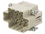 Connector: HDC | contact insert | male | 10A | 250V | Han&reg; DDD | PIN: 55