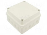 Enclosure: junction box | X: 125mm | Y: 125mm | Z: 80mm | wall mount