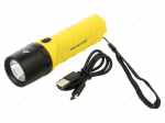 Torch: LED | IPX7 | 700lm | 2.5h | DURA LIGHT 2.3