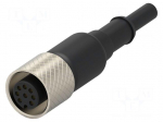 Connection lead | M12 | PIN: 8 | 5m