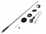 Antenna | car top | 0.41m | AM,FM | Citro&euml;n,Fiat,Peugeot,Renault