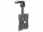 Holder | ceiling | 20kg | 19&divide;43" | black | Dim: 431x220x165mm
