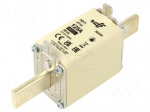 Fuse: fuse | ceramic | 125A | 690VAC | 440VDC | gG | NH1
