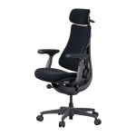 LiberNovo Omni Dynamic 45 cm Ergonomic Chair (Black)