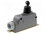 Limit switch | transversal plastic roller | SPDT | 6A | max.400VAC