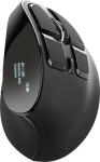 Computer mouse Trust  Trust Voxx mouse RF Wireless+Bluetooth Optical 2400 DPI Right-hand