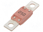 Fuse: fuse | 250A | 32V | automotive