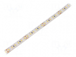 LED tape | white cold | 2835 | 24V | LED/m: 120 | 10mm | IP65 | 24W/m