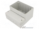 Enclosure: wall mounting | X: 166mm | Y: 160mm | Z: 108mm | CARDMASTER
