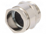 Cable gland | PG21 | IP54 | brass | DIN 46320-C4-Ms