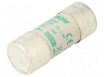 Fuse: fuse | 20A | 690VAC | aM | cylindrical,industrial | 22x58mm